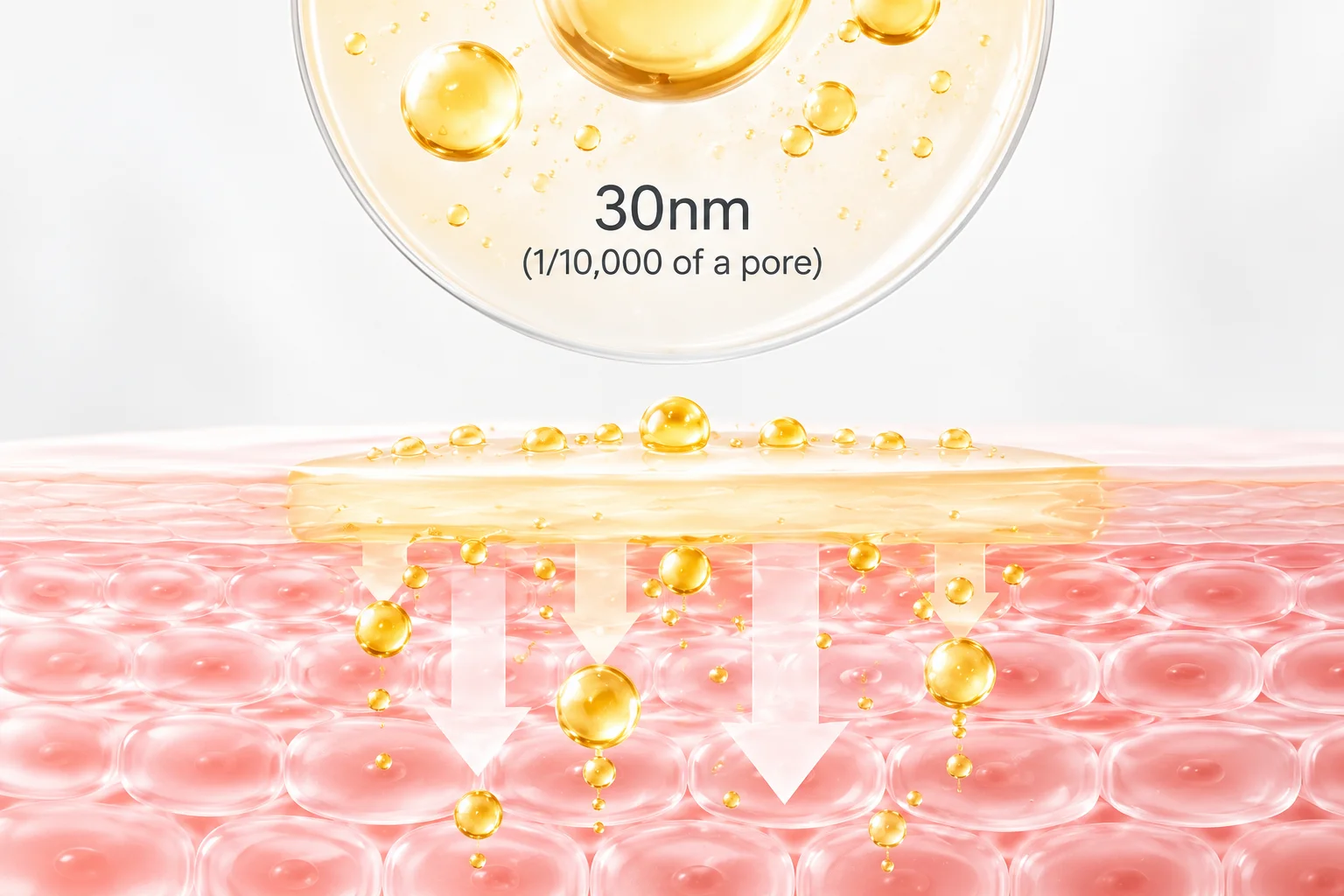Illustration showing small serum molecules of 30nm size penetrating skin layers to demonstrate skincare absorption.